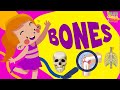 Understanding the Skeletal System