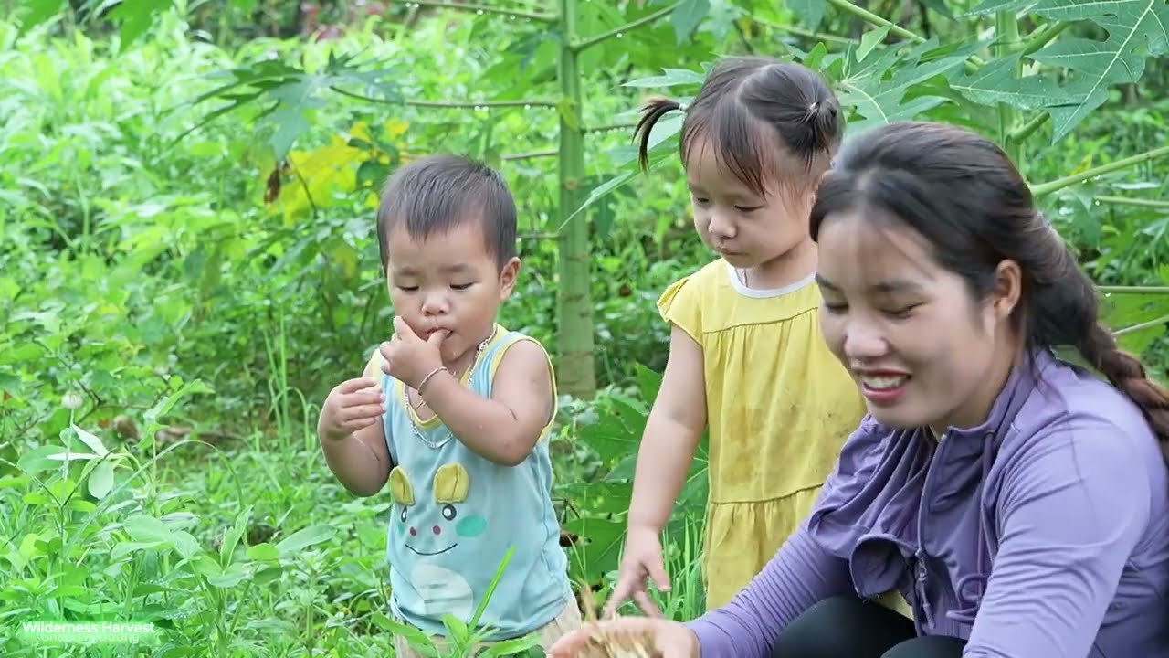 Single mother harvests corn, ginger, peanuts to sell at the market, and boils corn for her children