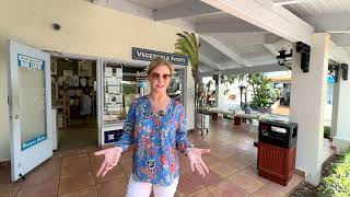 Tarpon Springs Florida Travel Guide | Sponge Docks, Things to Do & Dream Homes
