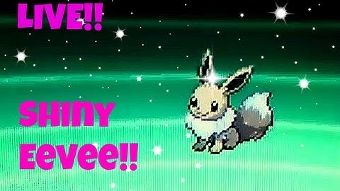 [LIVE!!] Shiny Eevee through Masuda Method in Pokémon Black 2!