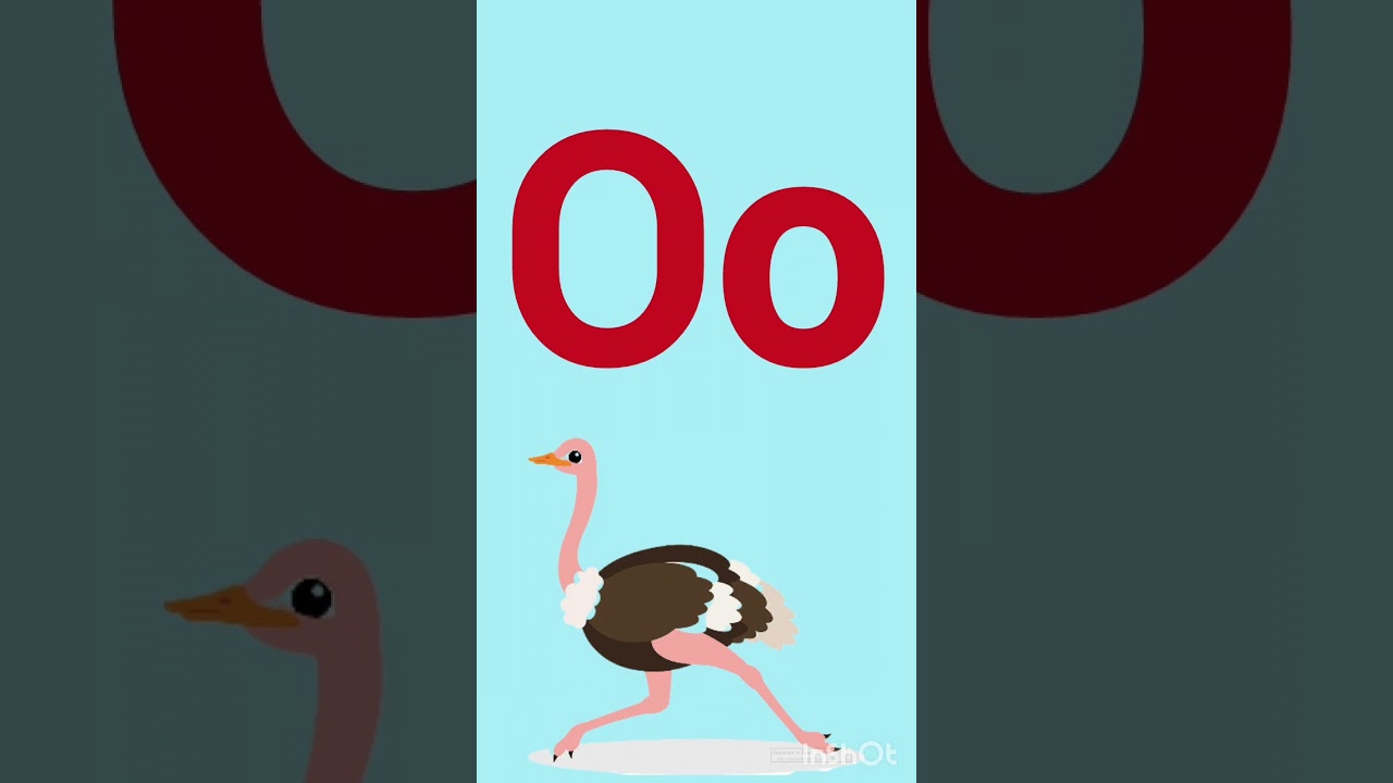 Oo Alphabet learning with pictures. - YouTube
