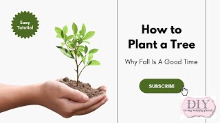 The ULTIMATE Guide to Fall Tree Planting