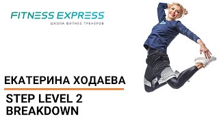 STEP level 2 breakdown