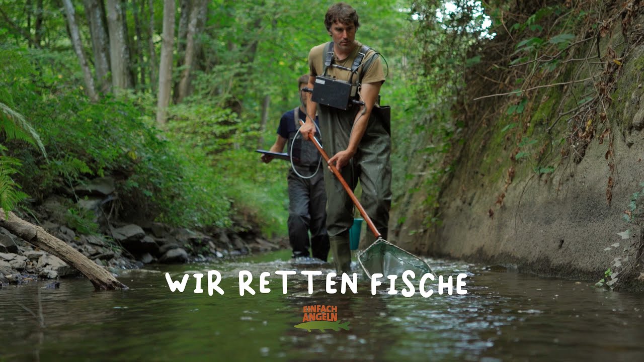 Wir RETTEN Fische! | Umsiedlung mit STROM?