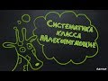 Систематика класса Млекопитающие| Биология