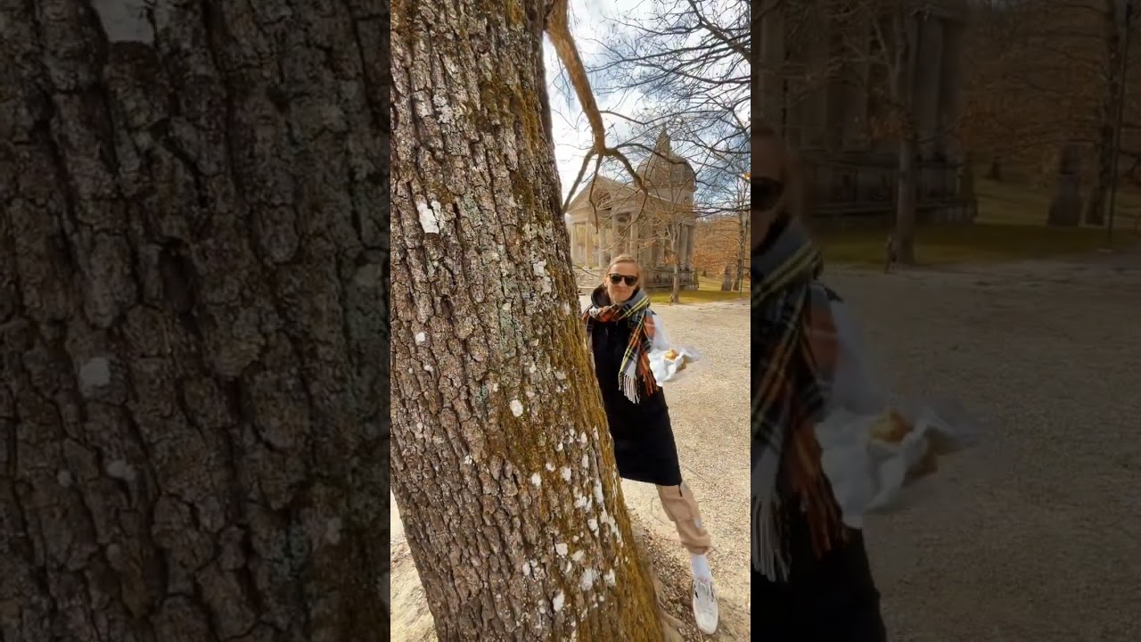 Sacro Bosco di Bomarzo - Monster Park 📸