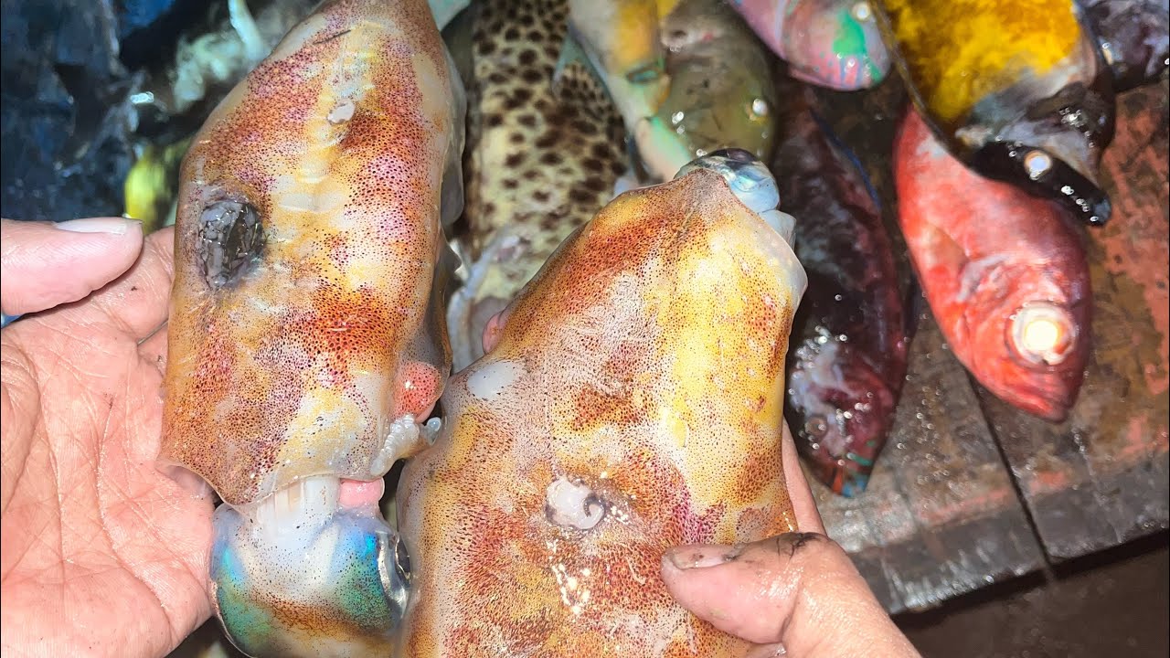 Lumayan untuk hasil malam ini 