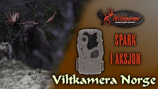 VILTKAMERA I AKSJON | WildGame spark
