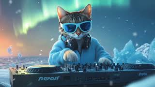 Chill House Under The Northern Lights Arctic Groove