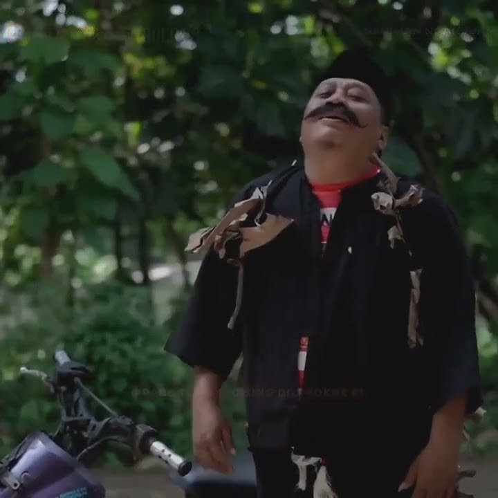 story wa pak no dan mbak nonik || UROUNG TAK LEBOKNE KOK WES MATUR SUWUN || story wa kekinian