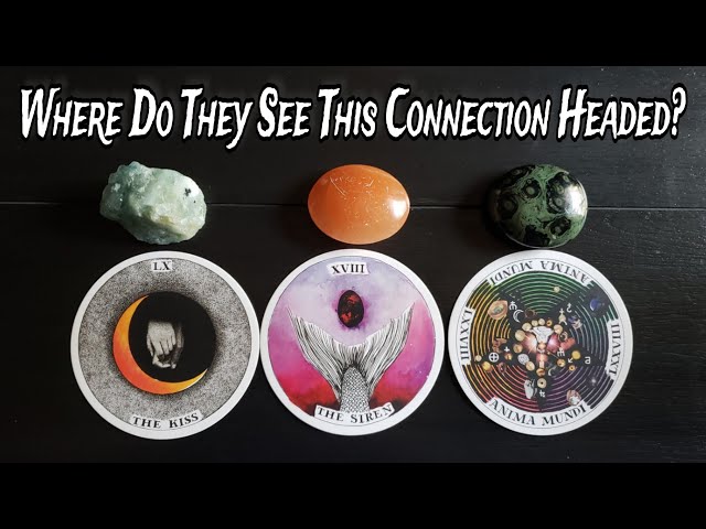 💕🦢 Where Do They See This Connection Headed? 💕🦢🔮 Pick A Card Love Reading class=