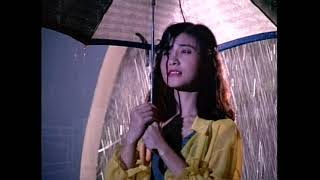〈風淒淒意綿綿〉國語卡拉OK - 演唱:林淑蓉 〈風淒淒意綿綿〉國語卡拉OK - 演唱:林淑蓉