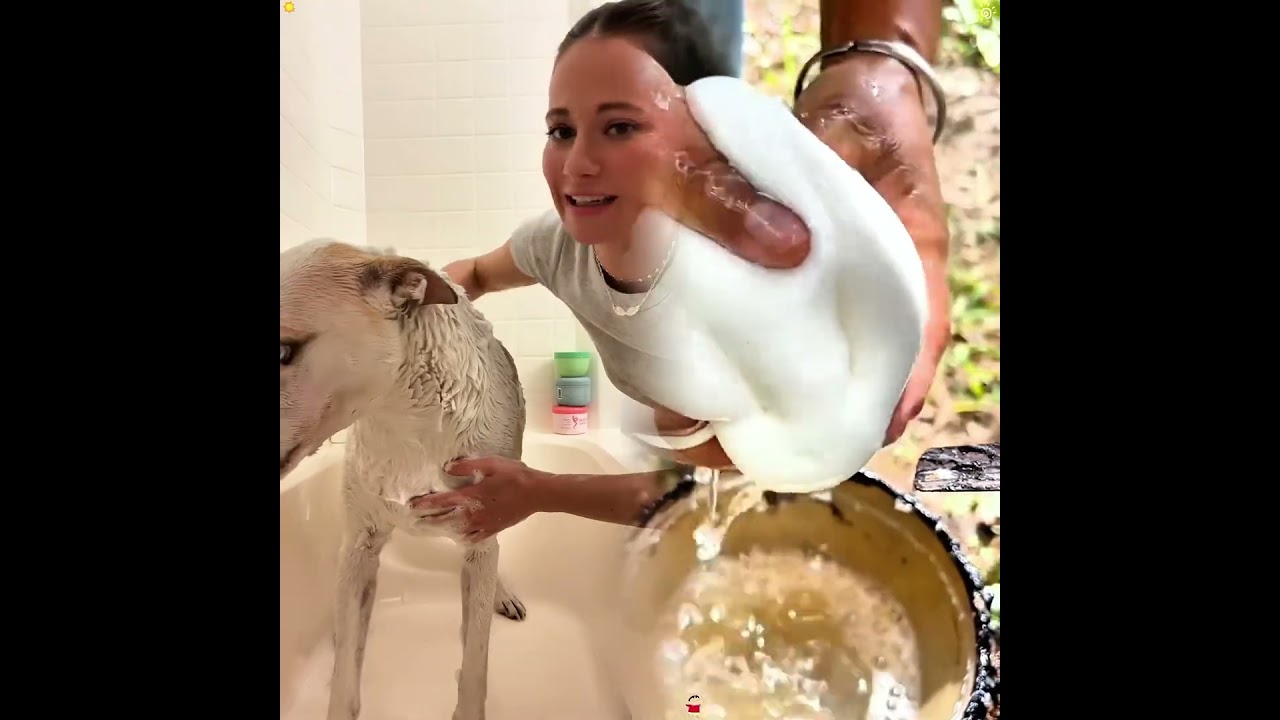 Washing off my dogs beautiful full glam makeup look 🐶🧼 