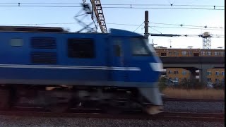 71レef210-1号機+コキ21両