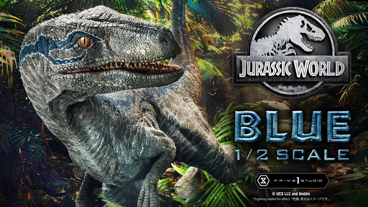 Blue 1/2 Scale | Product PV | Prime 1 studio