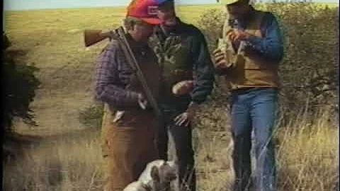 Classic Arizona Mearns Quail Hunt | February 18th ...