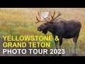 Yellowstone  grand teton photo tour and workshop 2023 highlights