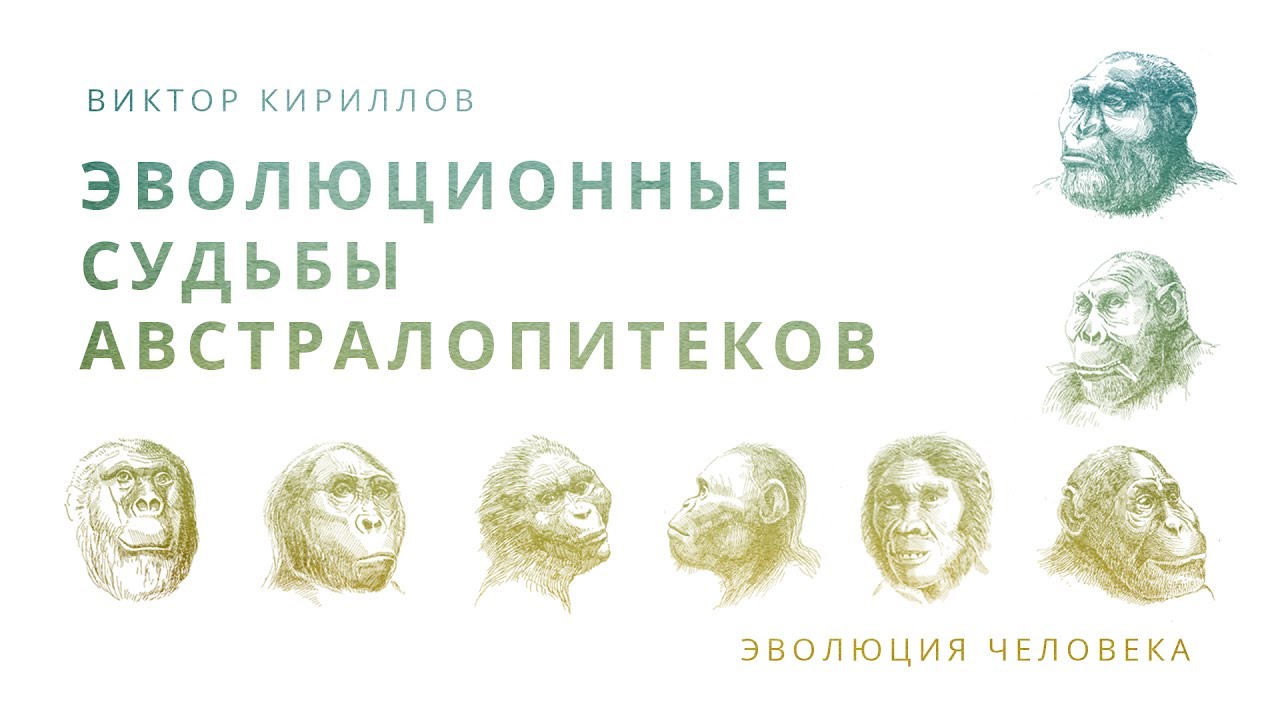 Эволюционное происхождение человека презентация 9 класс пономарева