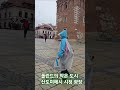 비올 때 유용한 임영웅의 선물