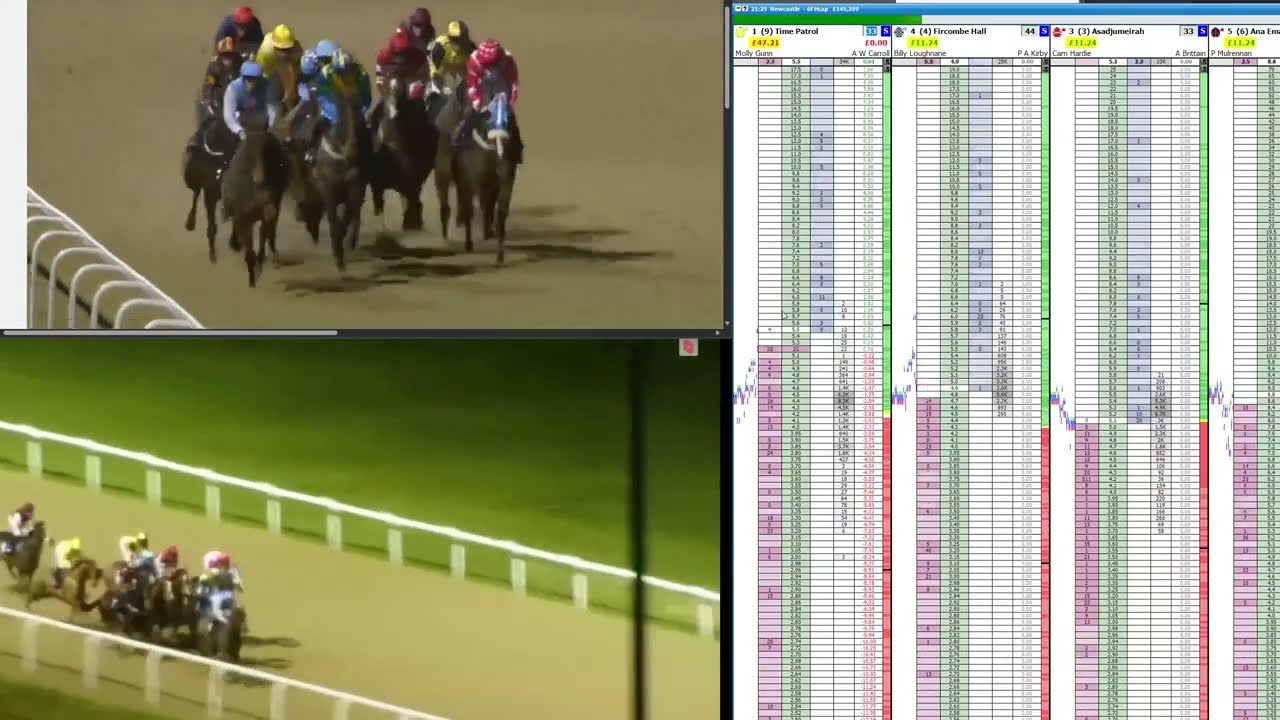 +£95 Race +£1400 Day | Trading In-Play Horse Racing