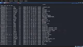 Penetration Testing - Privilege escalation - TryHackMe.Com (MSF)