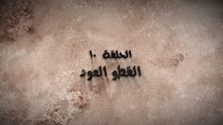 الحلقة 10.. القطو العود l مسلسل حكايات ابن الحداد - قناة الإمارات