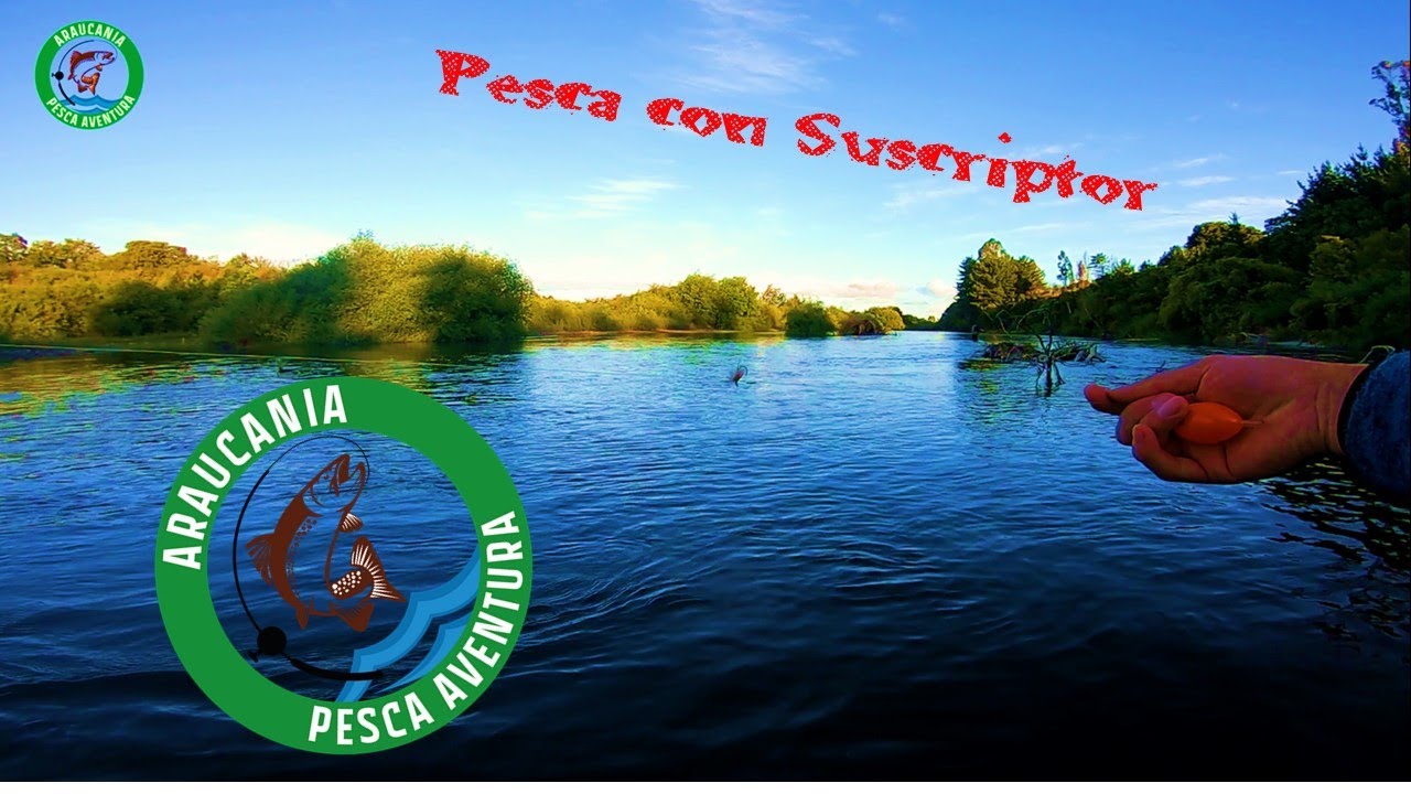 Pesca Con Suscriptor// pesca con mosca y Flotador// Cucharilla