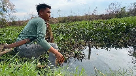 Cắm Câu Đêm 1 Mình Ở Vùng Biên Giới Gặp Cảnh Này Cuống Câu Về Luôn Là Vừa