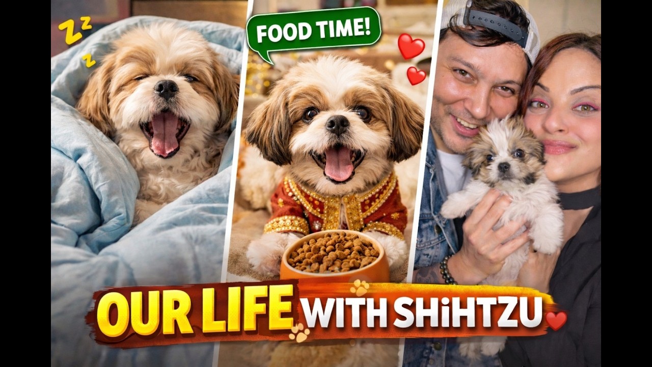 Life With Our Shihtzu Puppy 🐶🐶