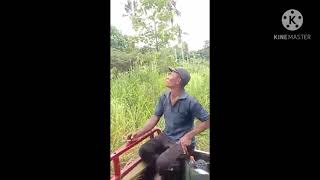 Download lagu Raja Pantun Dari Morotai