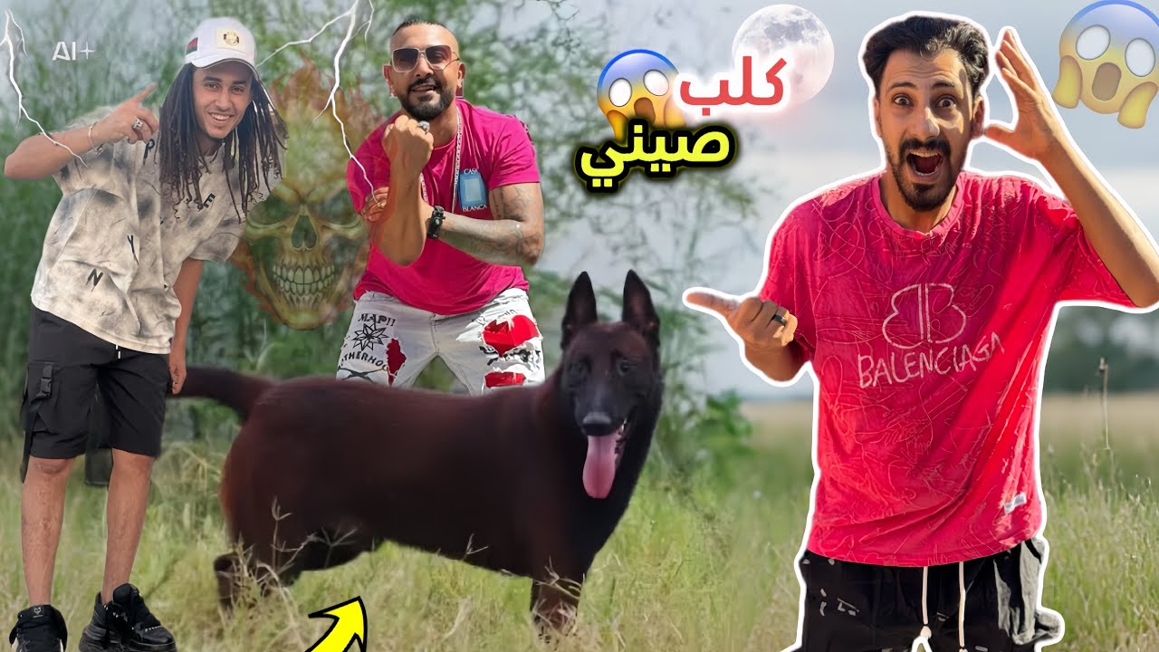 اول مقابله معا الكلب المالينو الصيني!! تحدي بين فادي وموزه😱
