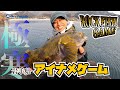 冬の岩手のアイナメ釣り【#ロックフィッシュ】【#根魚】