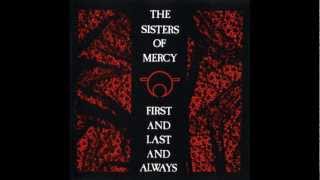 THE SISTERS OF MERCY - No Time To Cry