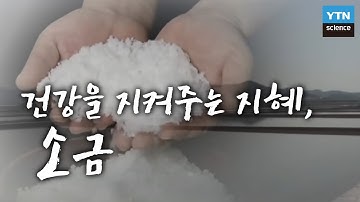 건강을 지켜주는 지혜, 소금 / YTN 사이언스