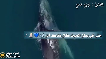حالات واتس دينية // تلاوة بصوت إسلام صبحي //  ستوريات انستا قصيرة //
