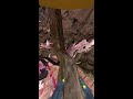 Meta Quest Broadcast | Powered by LIV