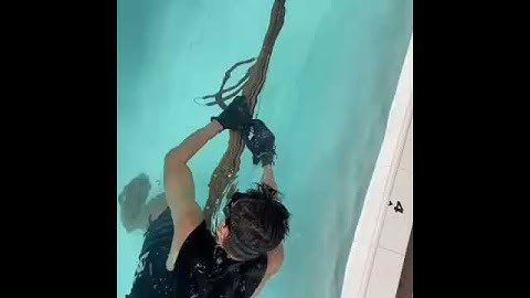 Andre speargun 125 inverter part 2