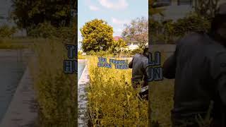 Download Lagu Payung hitan by Iis Dahlia MP3