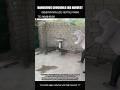 巣を守る巨大ワニの隙をつき、一瞬で卵を安全に回収する職人技 #shortvideo #viralshorts #viral #trending #crocodile #reptile worker