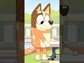 "BLUEY: 🎵🎶CAT SQUAD!" #bluey #australiancartoon