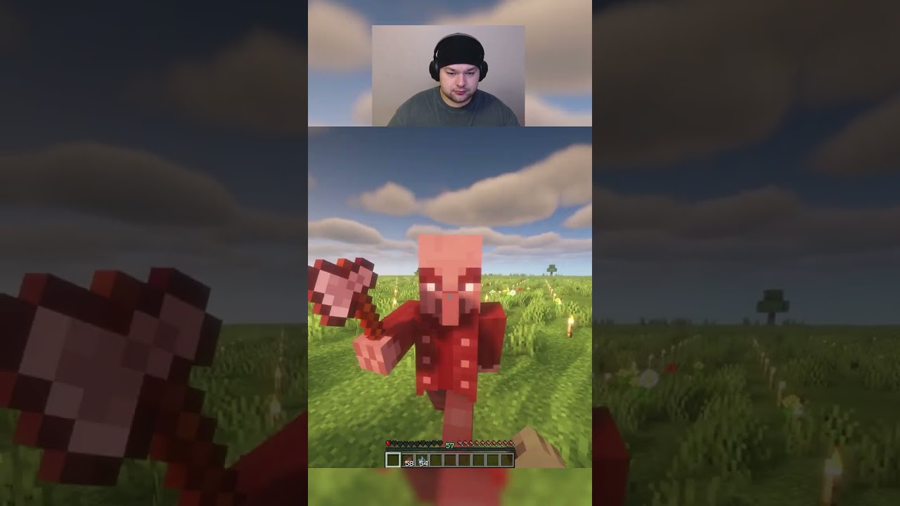 Killing an vindicator unarmed in minecraft day 69 