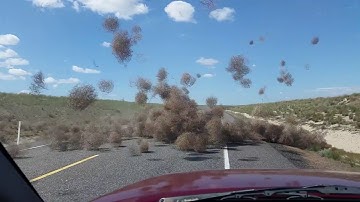 Tumbleweed Dust Devil!