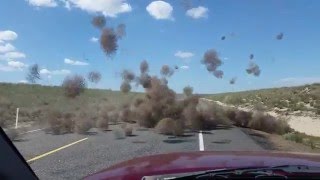 Tumbleweed Dust Devil!