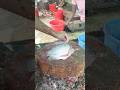 marketing fish cutting Tala famous 2 kilo subscribe subscribe 👈👈👈👆👆👈👈