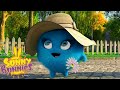 SUNNY BUNNIES | SUEÑOS | Dibujos animados para niños | WildBrain