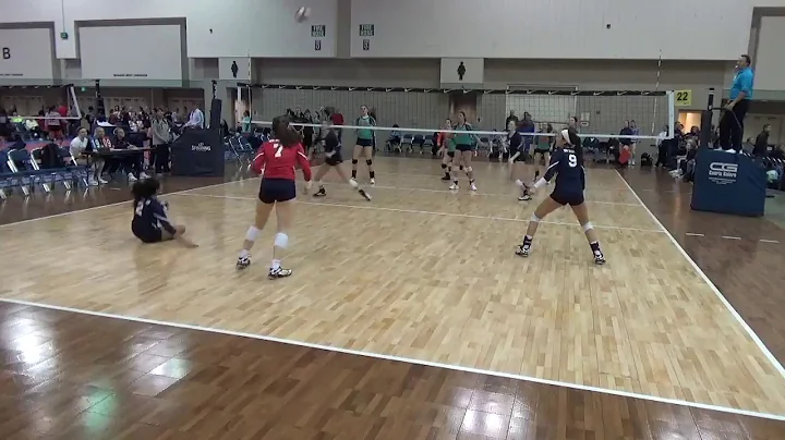 Tiffany Huffman MEQ Part 1