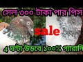 Welcome my channel adrija pigeon lover contact number 86 40 99 28 17