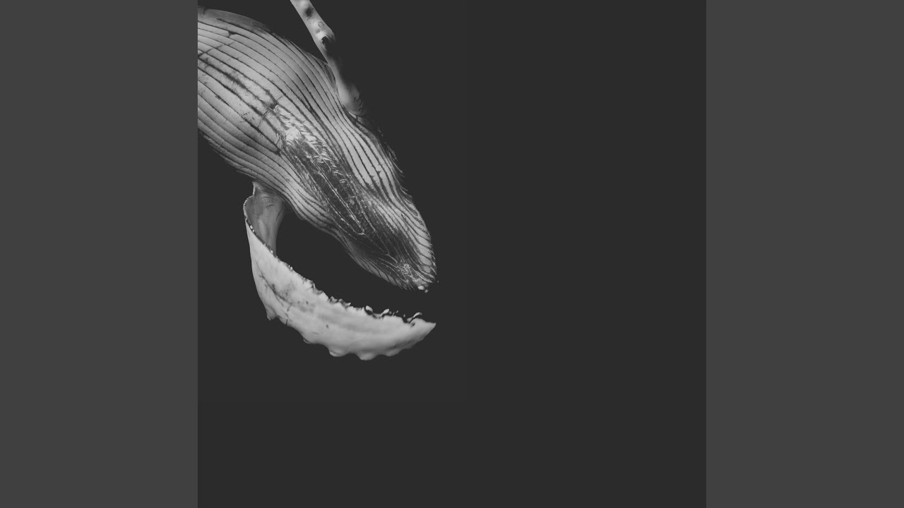 Watch Ready on YouTube Watch Ready on YouTube