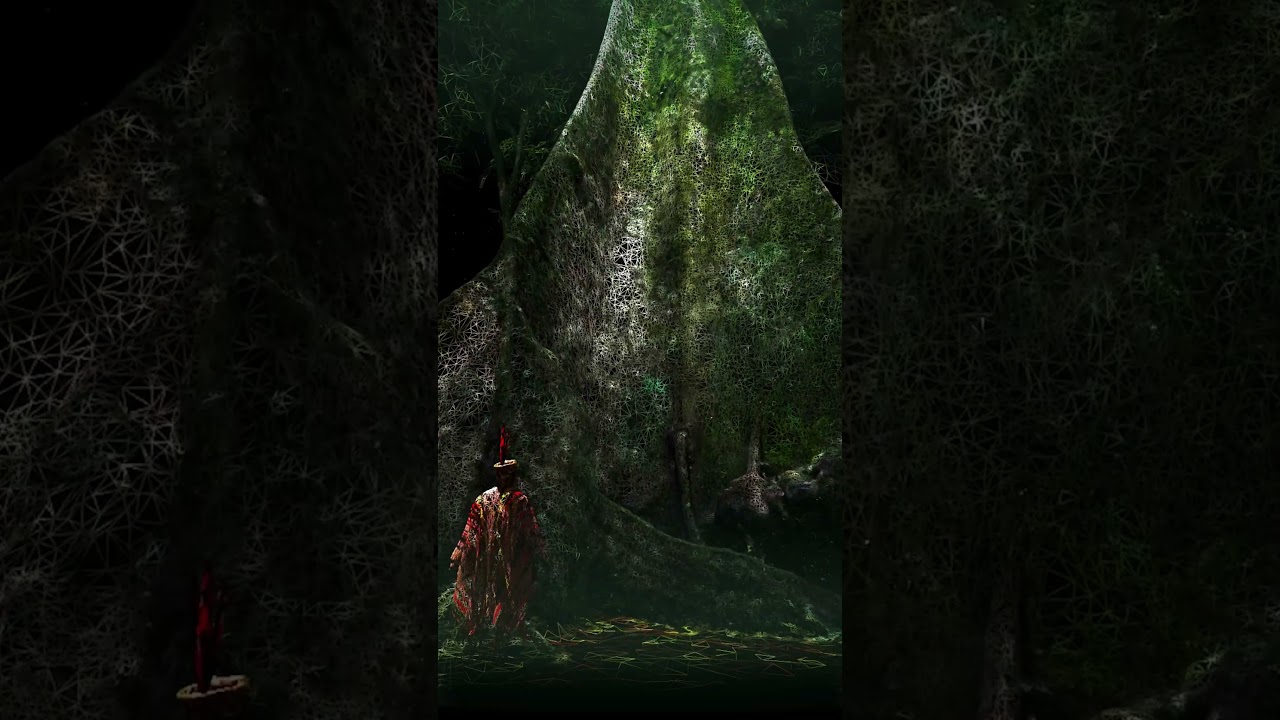 Explore the Largest Samaúma Tree in the Amazon | Majestic Samaúma 3D Experience
