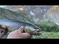 Fishing the EASTERN SIERRAS for BIG TROUT|Catch and Cook